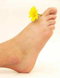 Ayurvedic Foot Footcare Feet Herbs